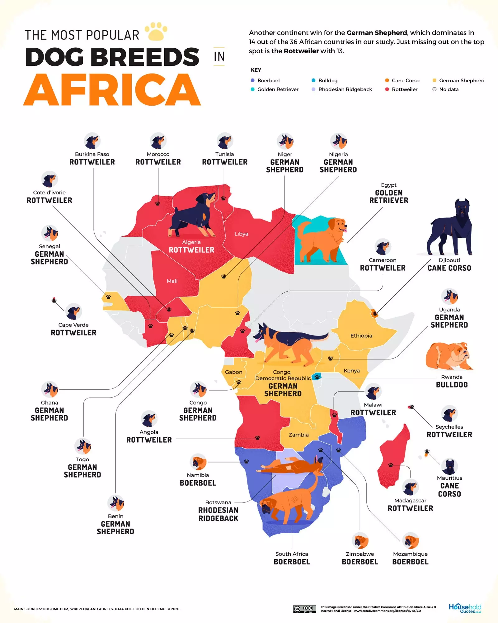 Dog breeds Africa