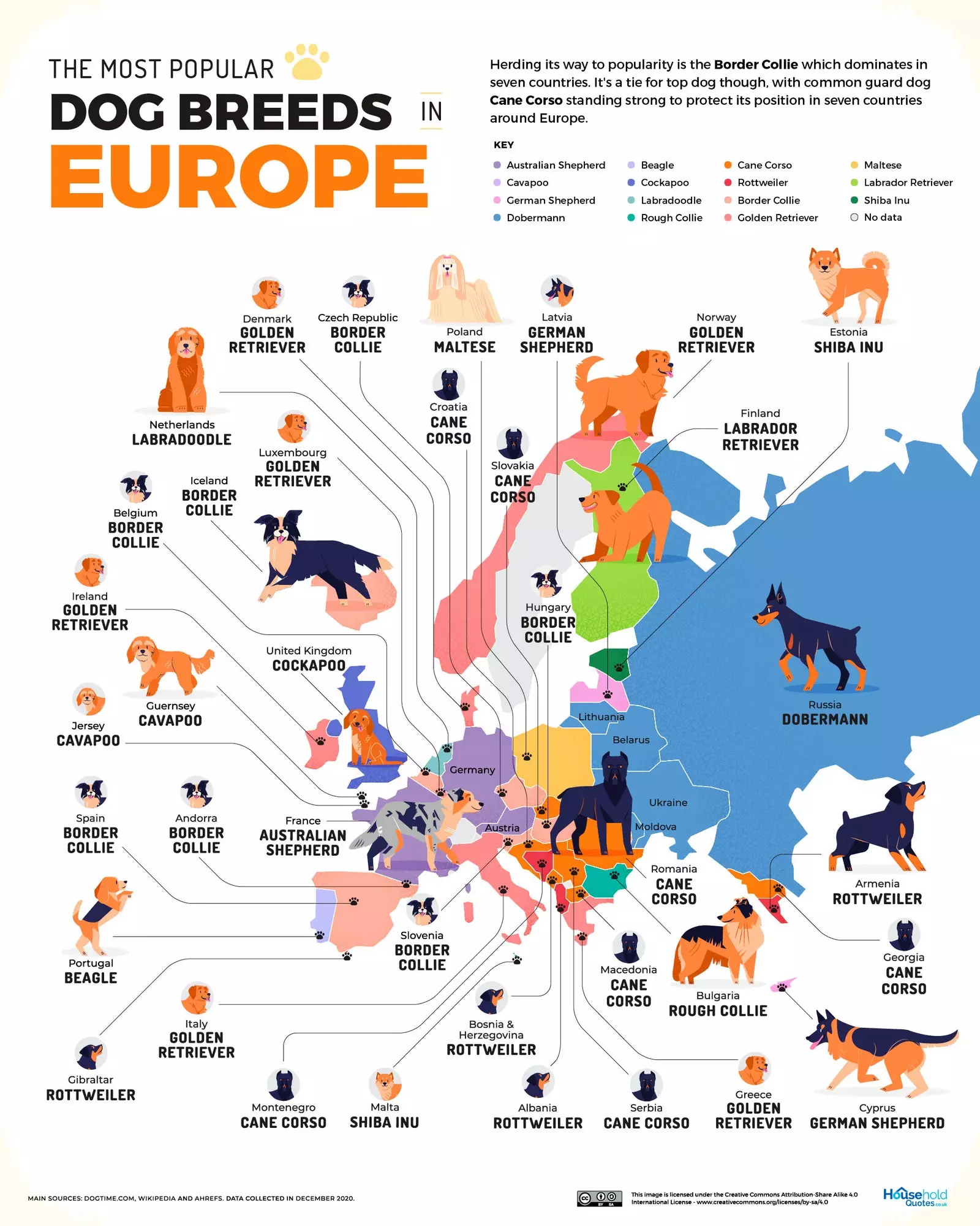 Šunų veislės Europoje