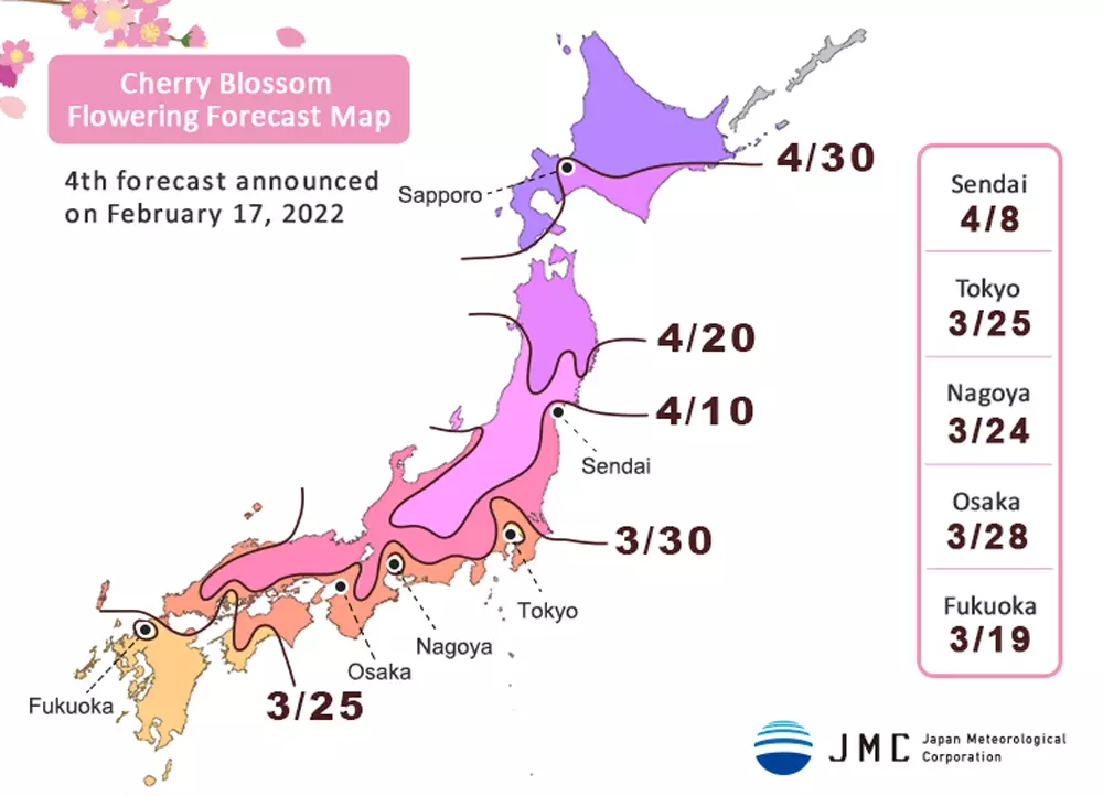 2022년 벚꽃 예보 지도