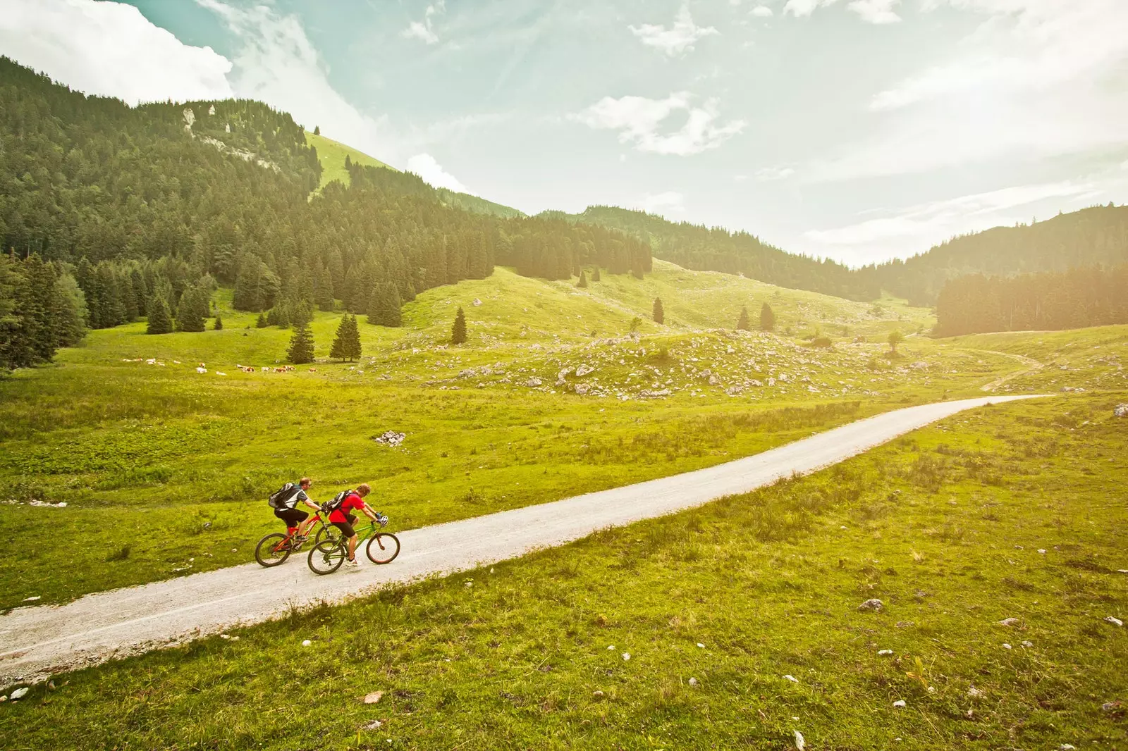 Däitschland Vëlo Tour