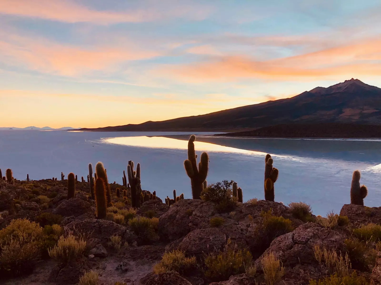 Kaktus auringonlaskun aikaan Salar de Uyuni Bolivian edessä