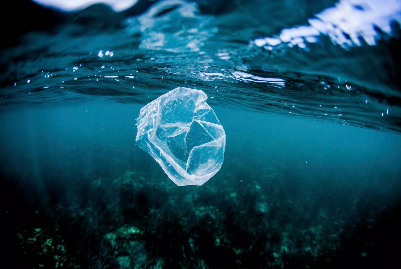 Een plastic zak drijft over een koraalrif in Costa Rica