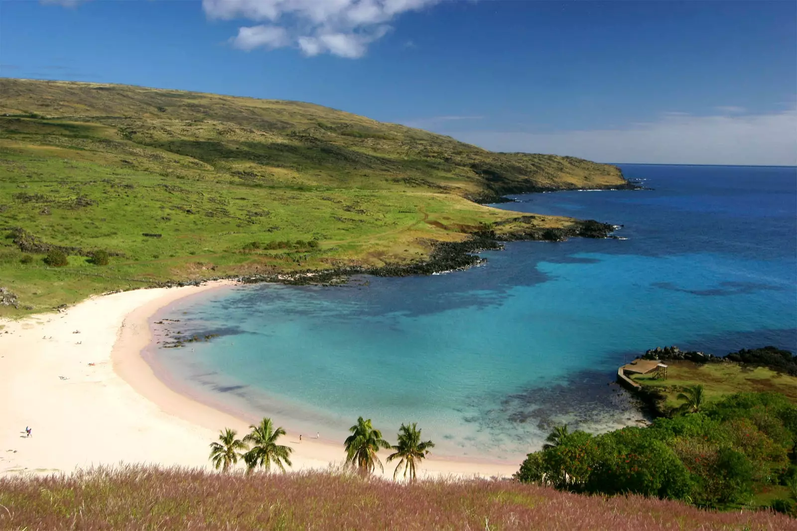 Plage d'Anakena