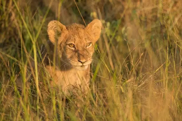 Tour South Africa with Google Street View