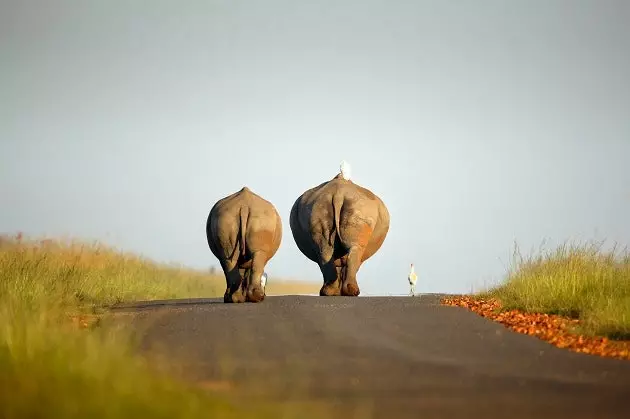 Faça um tour pela África do Sul com o Google Street View