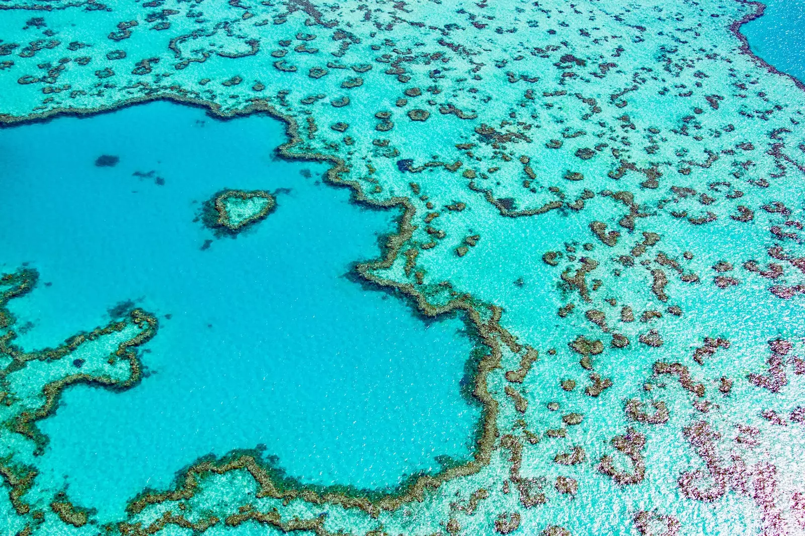 Great Barrier Reef Australien