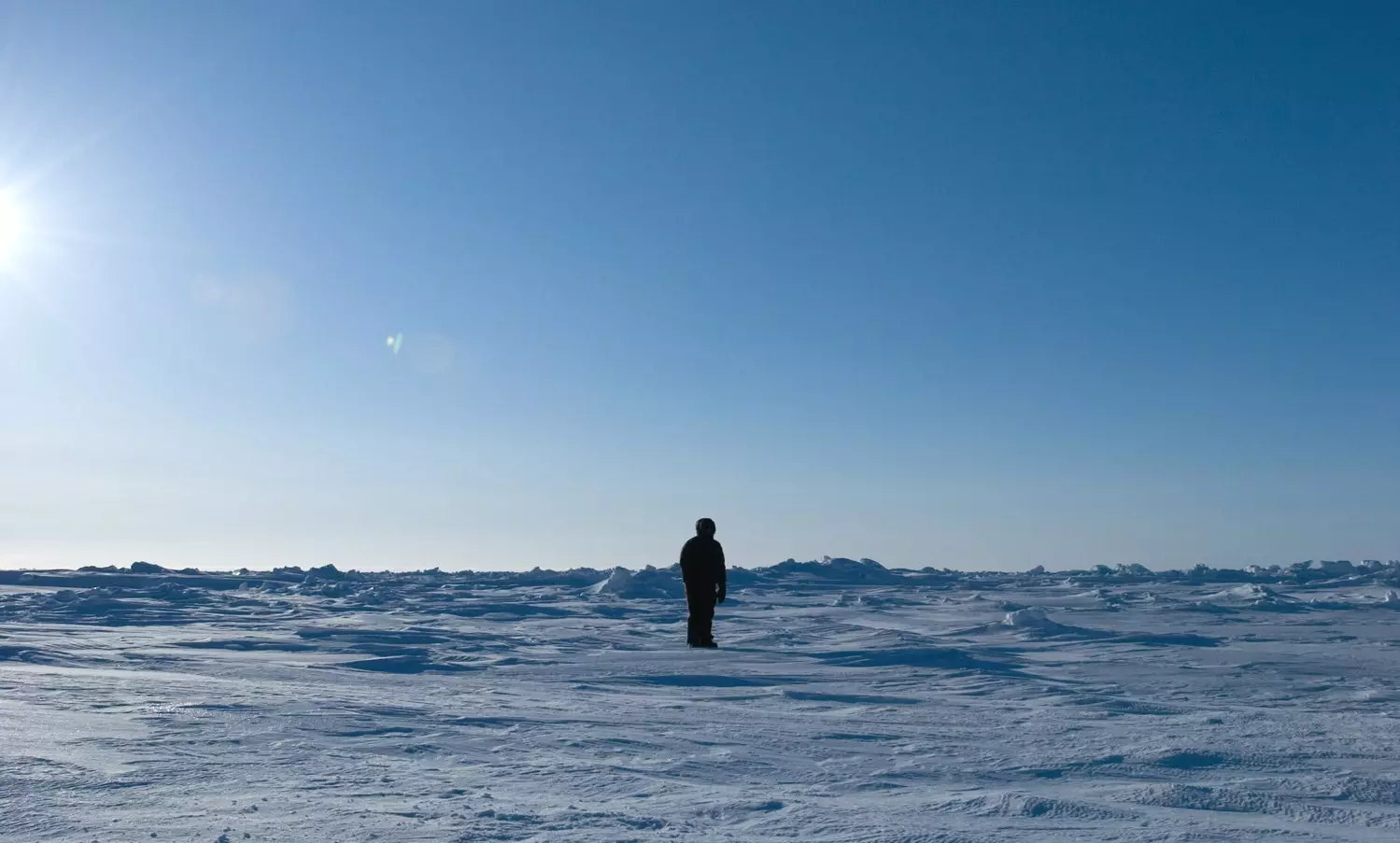 암스테르담 Eye Filmmuseum에서 Guido van der Werve.