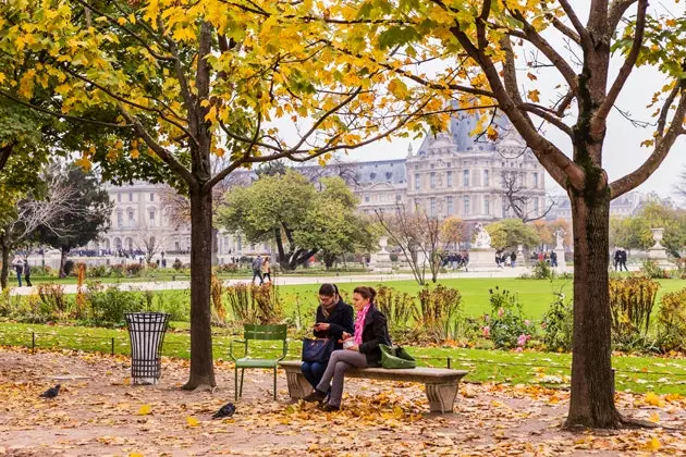 The Gardens of the Tuileries