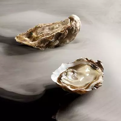 Oysters ya Gilrdeau