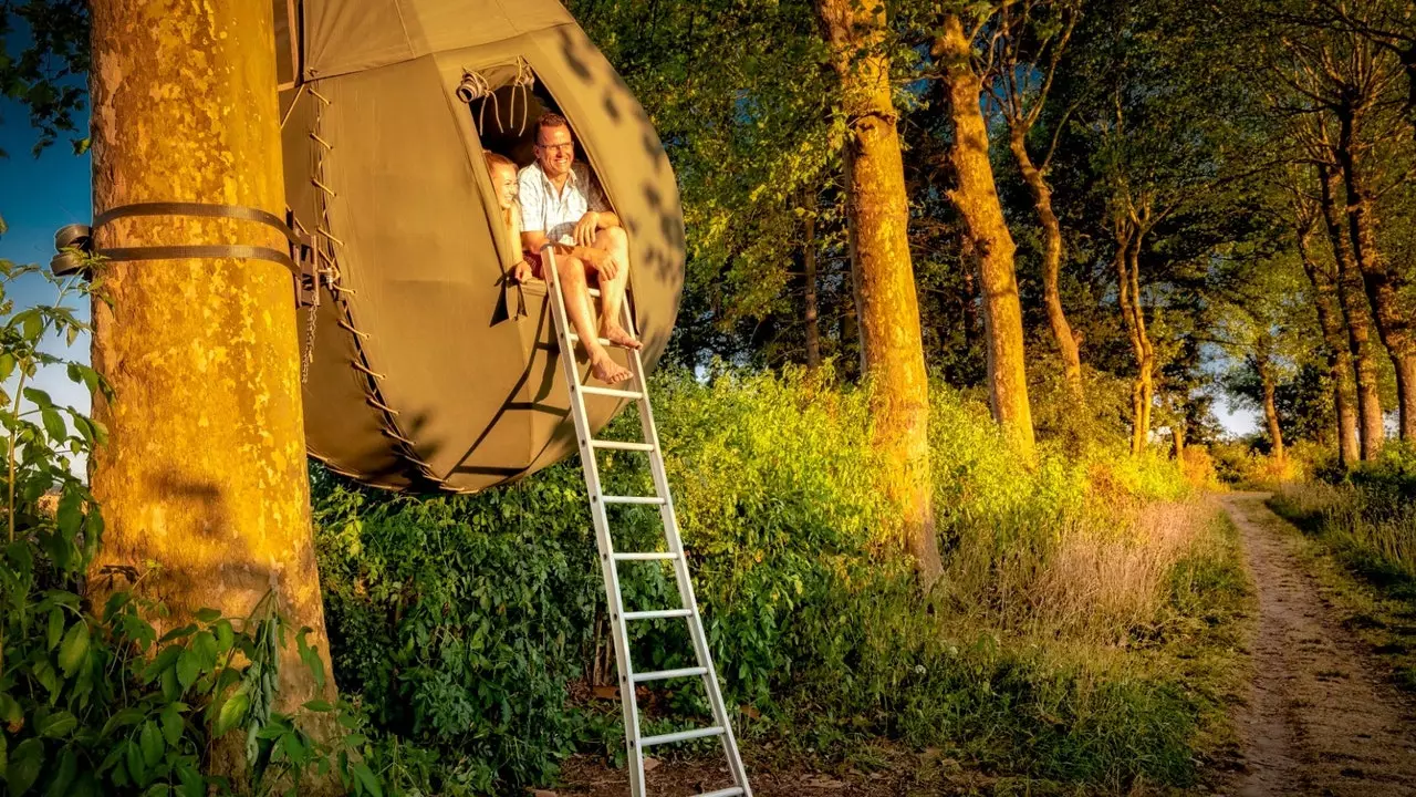 Tieto domy na strome v tvare slzy sú skutočné a sú v Belgicku