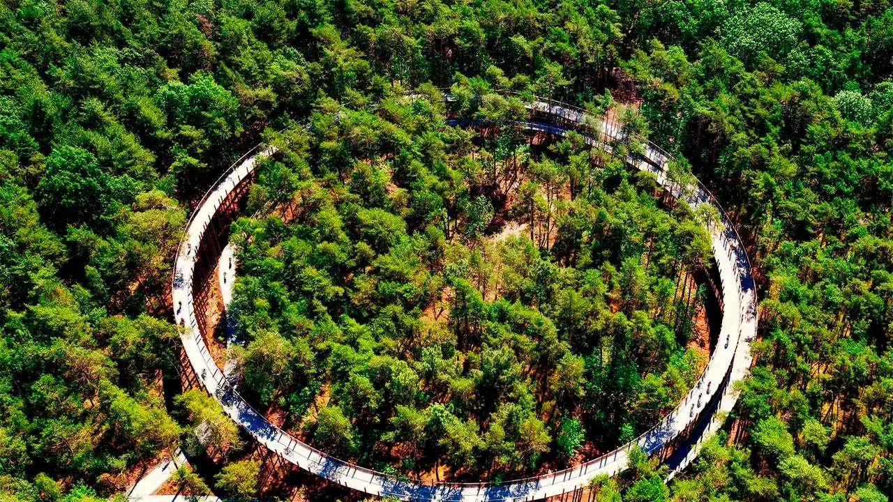 In Belgio puoi pedalare sopra gli alberi e nell'acqua!