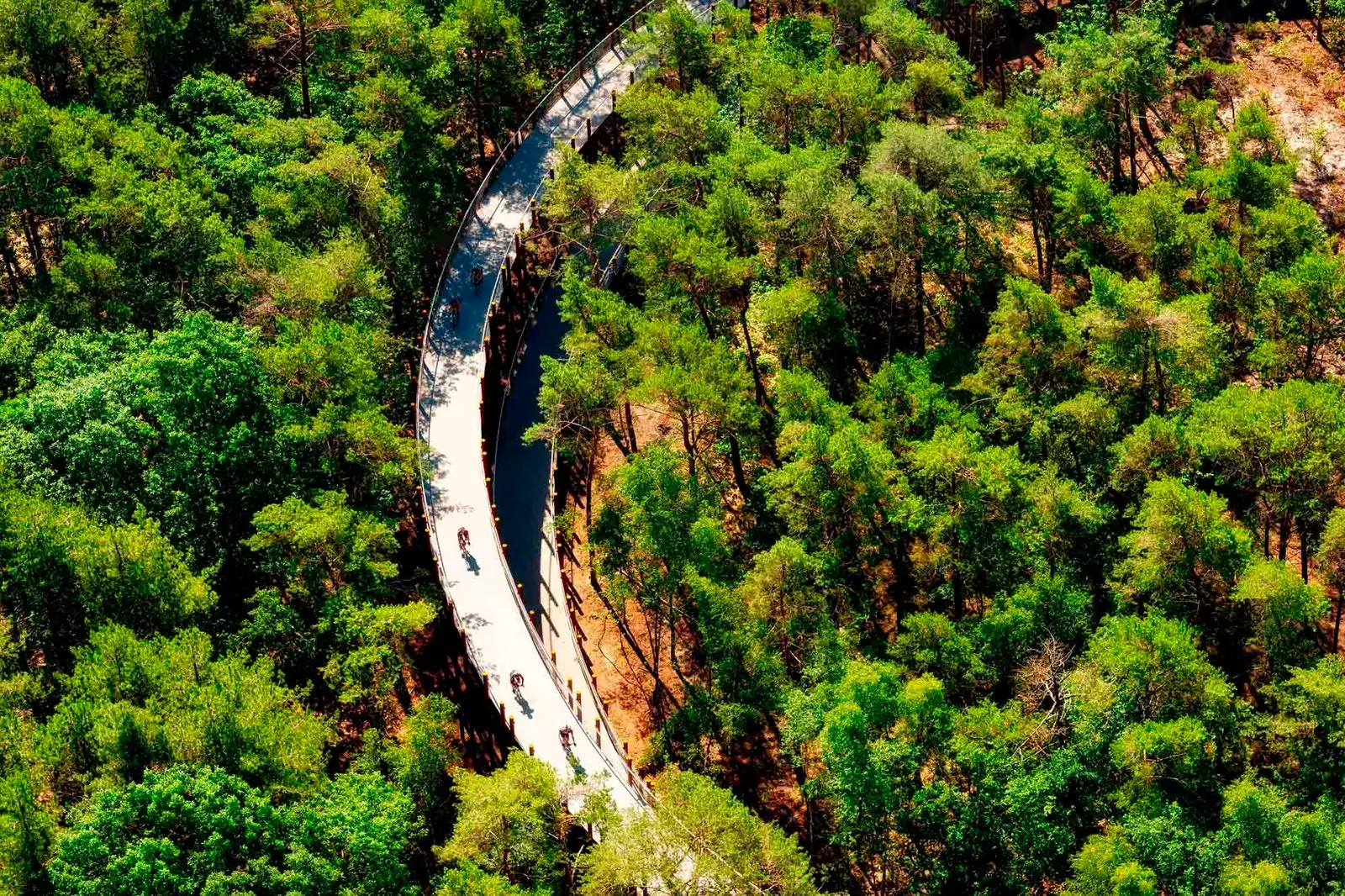 pista ciclabile belgio limburg anello foresta bosland