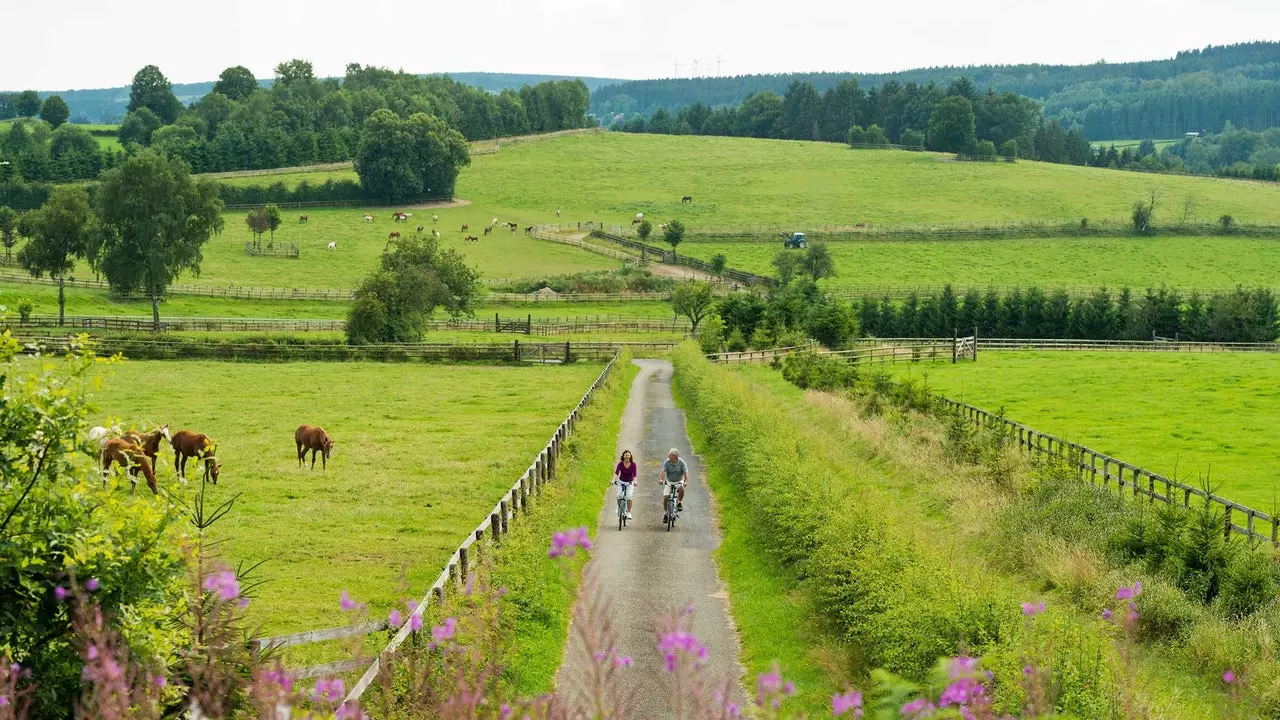 Vennbahn eða hvernig á að ferðast um þrjú lönd á pedalum