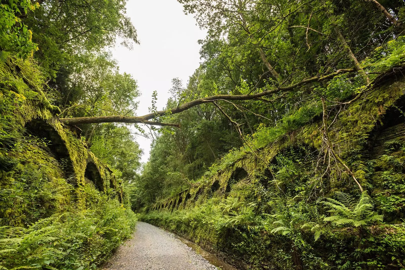 Tunel Lengeler Vennbahn