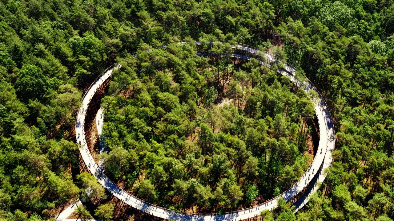 Limburg għandu l-binarju tar-roti biex jaħbuk fin-natura