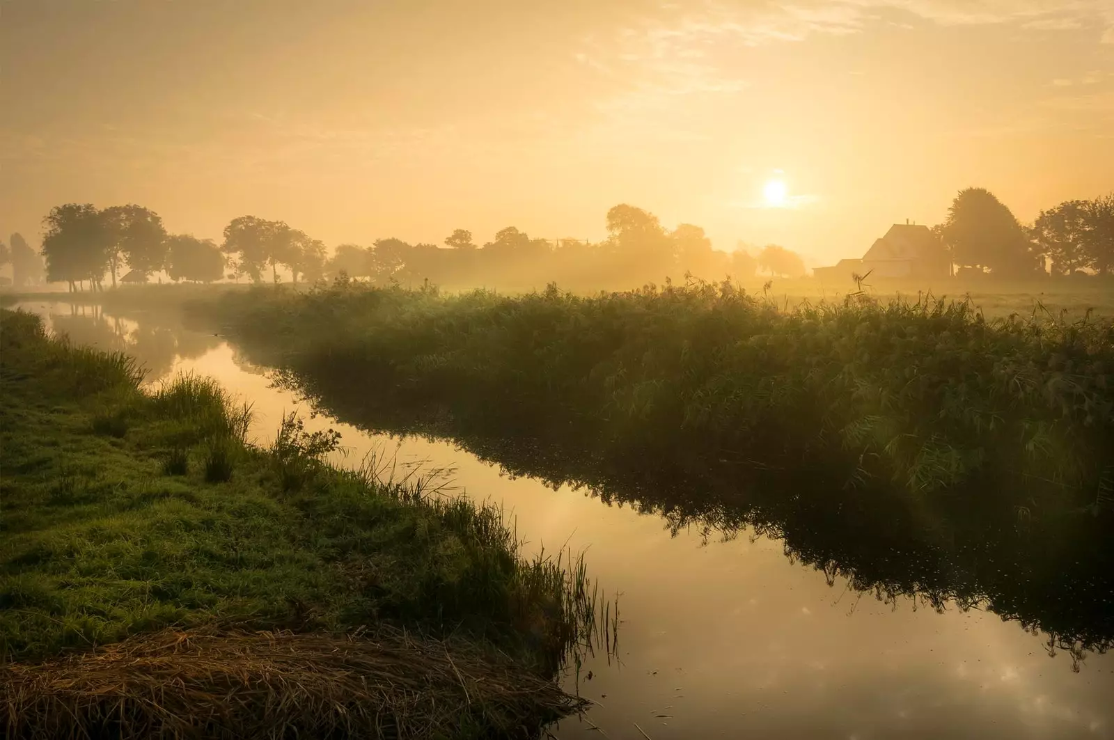 Taman Nasional Biesbosch.