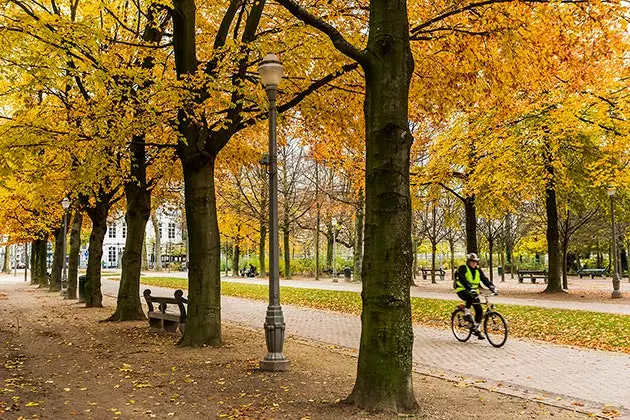 Se efter landskaberne på albummet 'Ottokar's Scepter' i parken i Bruxelles