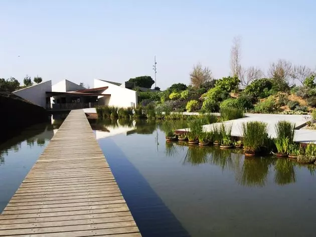 Historical Botanical Garden of Montjuic Barcelona