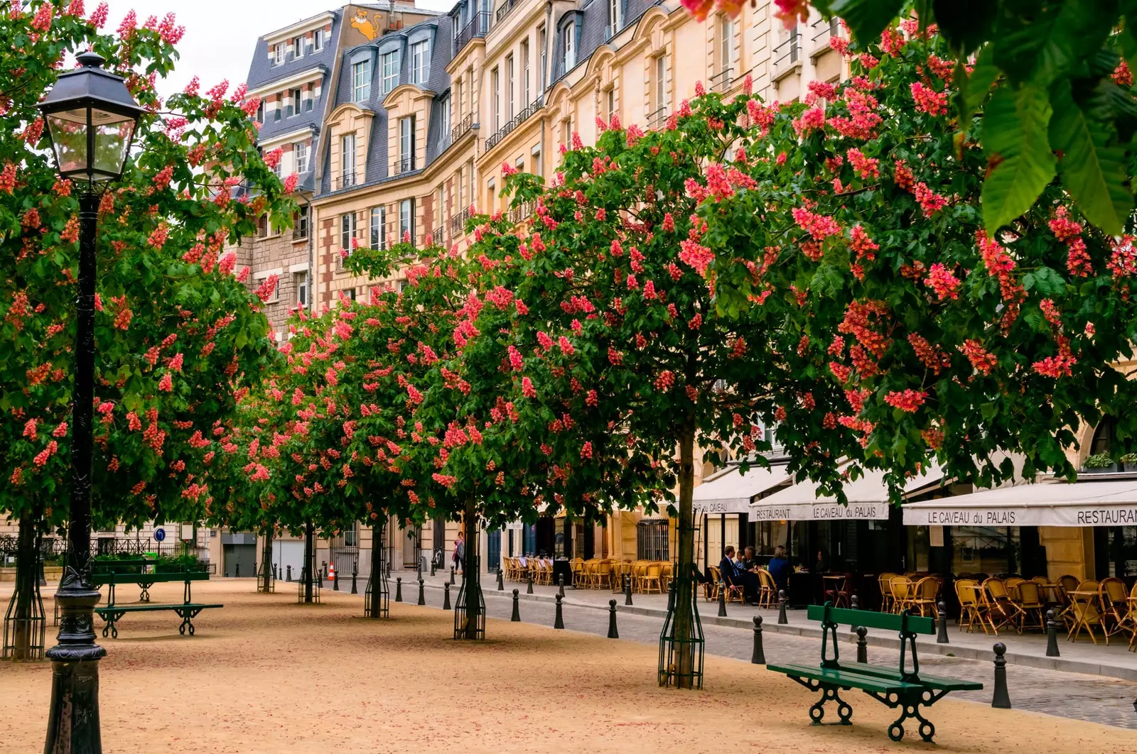 Place Dauphine