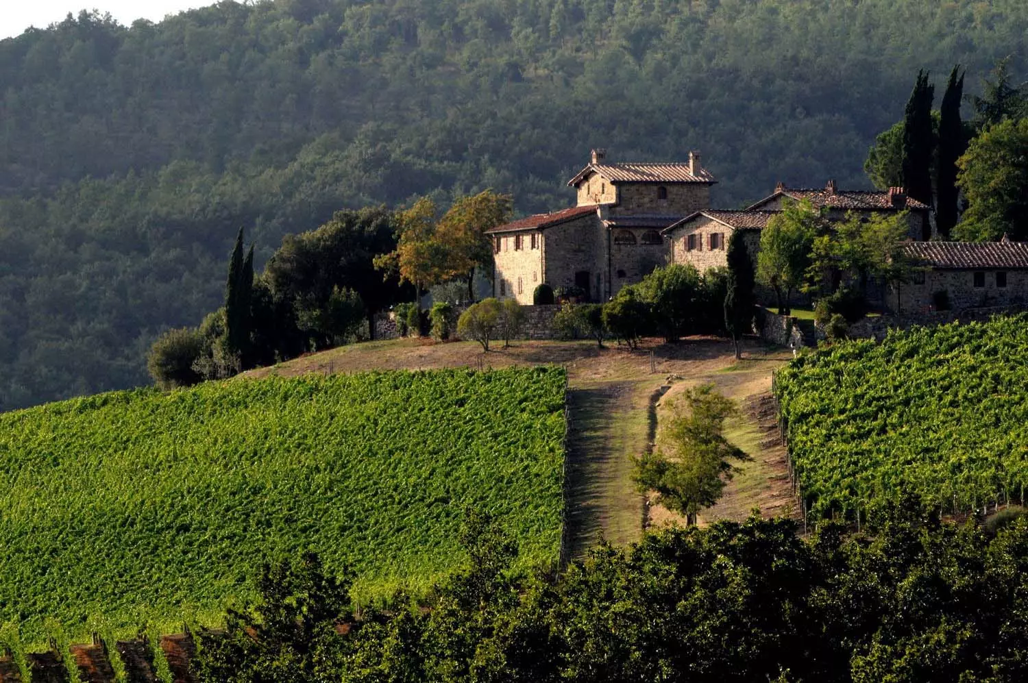 Panzano in Chianti