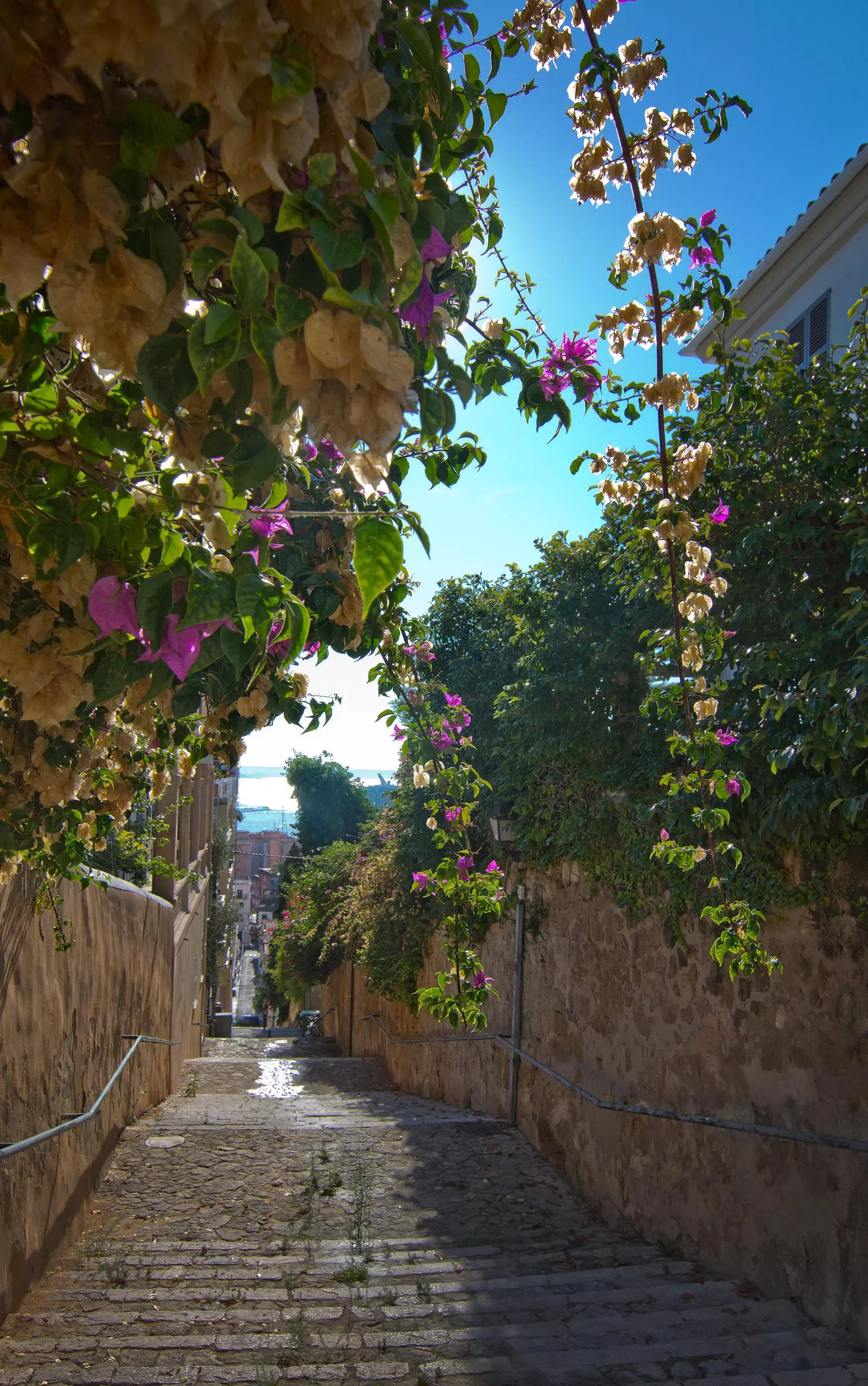 Стълби, които свързват El Terreno с Paseo Marítimo