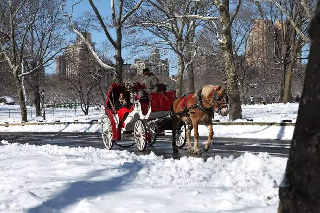 I en vagn genom snöiga Central Park