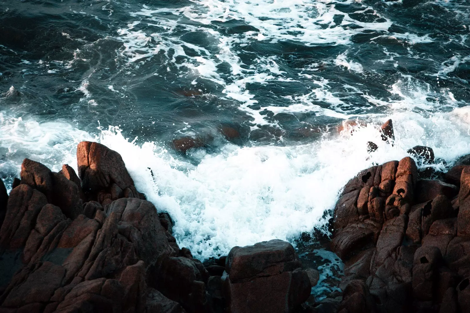 Plougrescant Wilde Bretagne