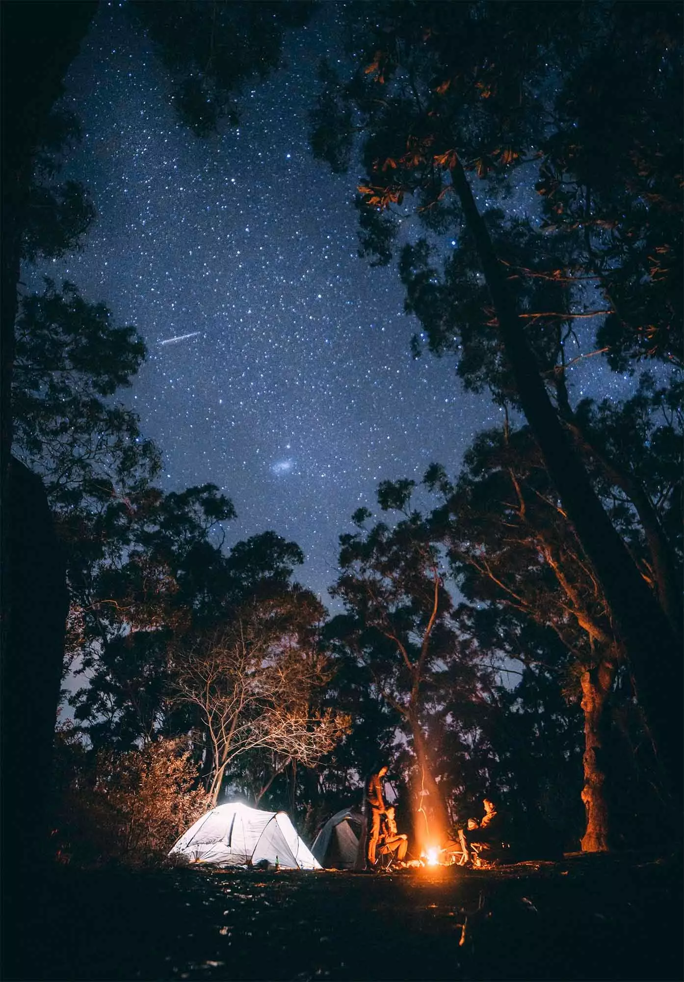 camping sub stele cu foc de tabără