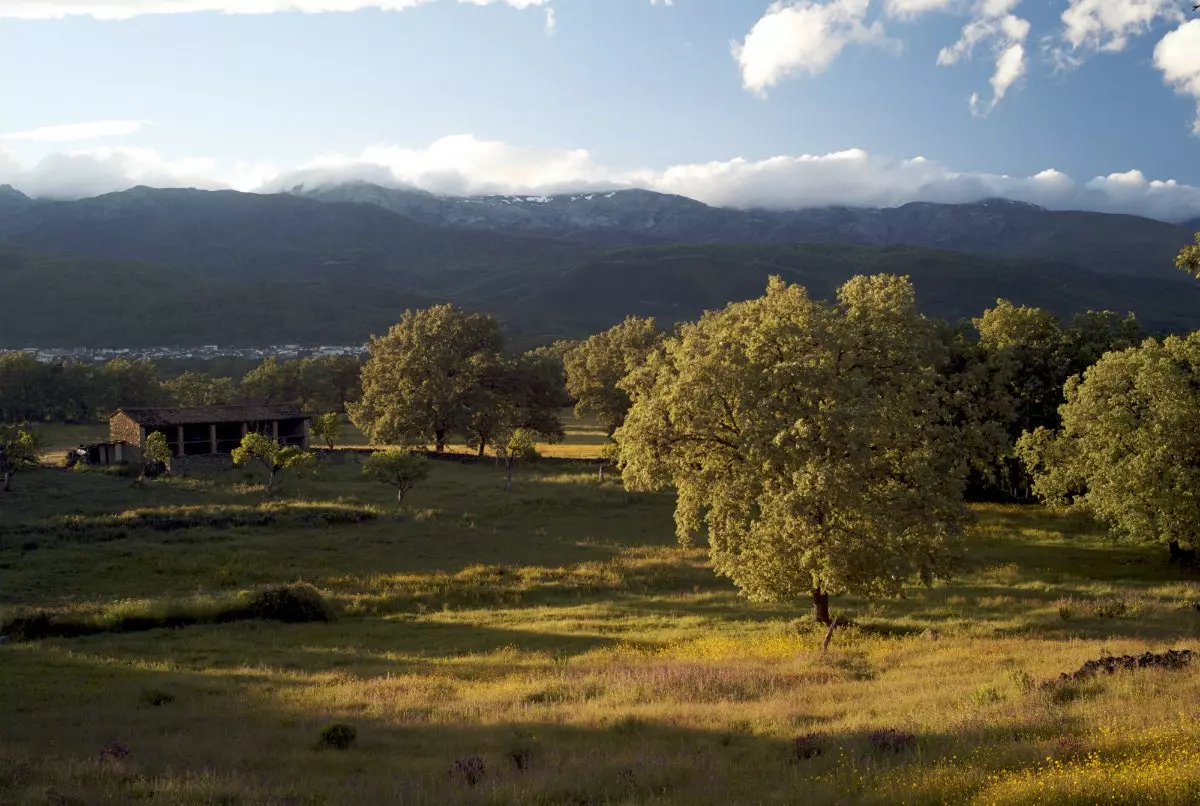 Siera de Gredos