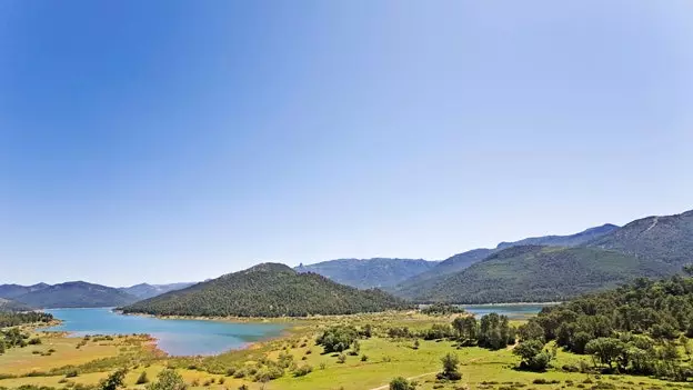 Naturparken vun Andalusien: d'Trompett Fréijoer an de Felder