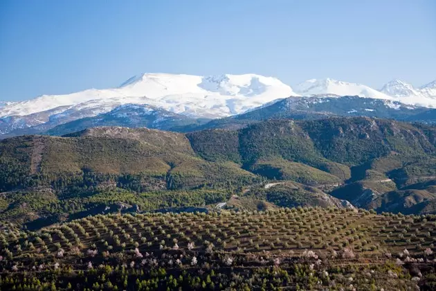 sierra Nevada