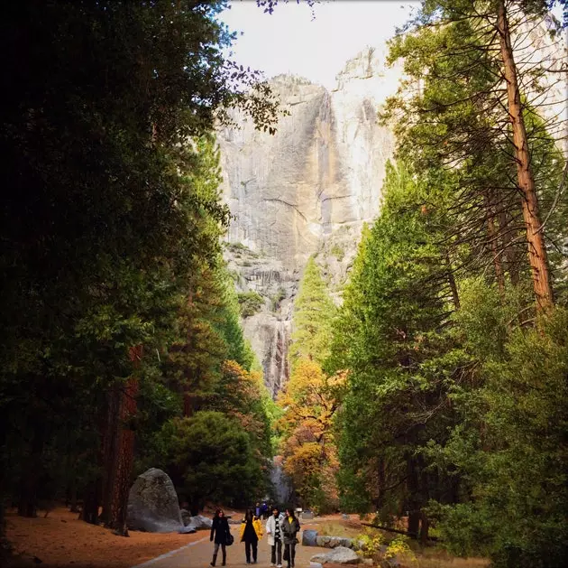 Žemutinės Yosemite rudens takas