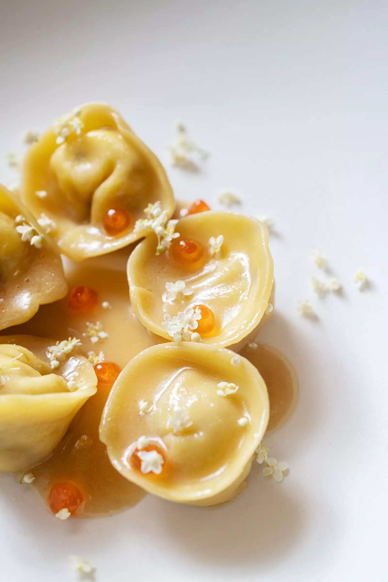 Tortelli di patate e sambuco Horto