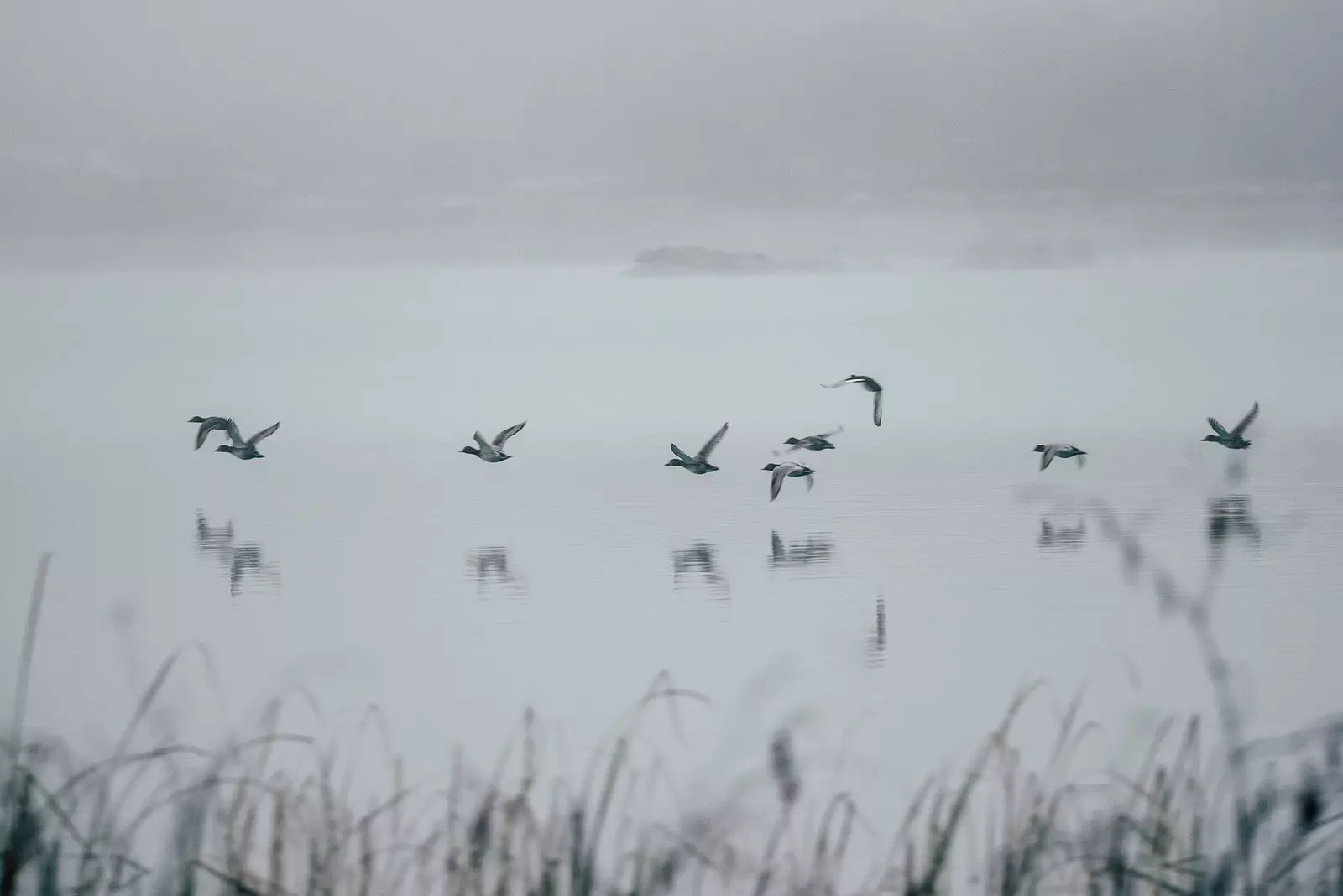 Éin i lagoon goirt amháin Aragon