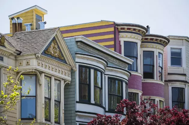 Painted Ladies