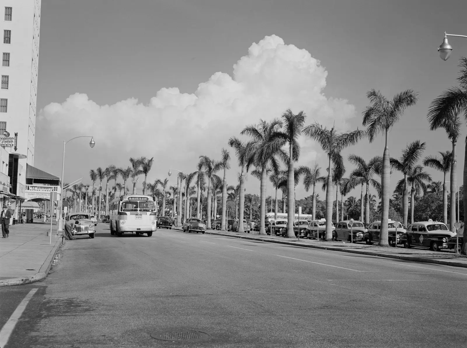 Miami 1950