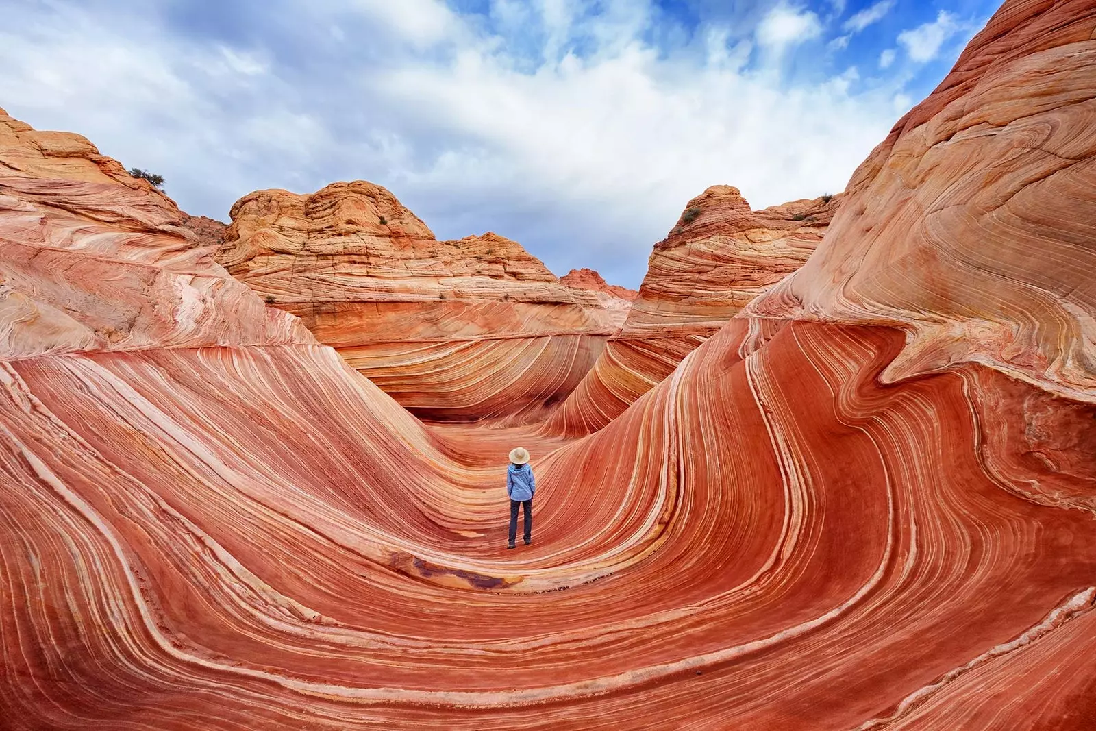 Səhra dalğası Arizona