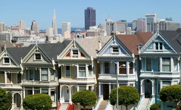 Painted Ladies