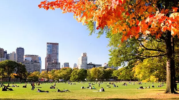 En Central Park för att fånga dem alla