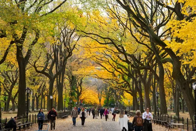 Parque Central