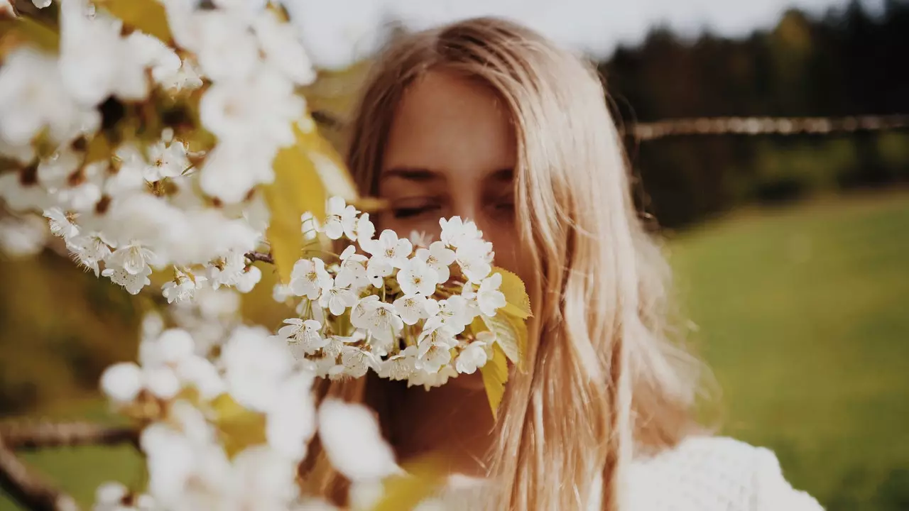 Hvor kan du se blomstringen av Spania i 2022: rutene du ikke bør gå glipp av