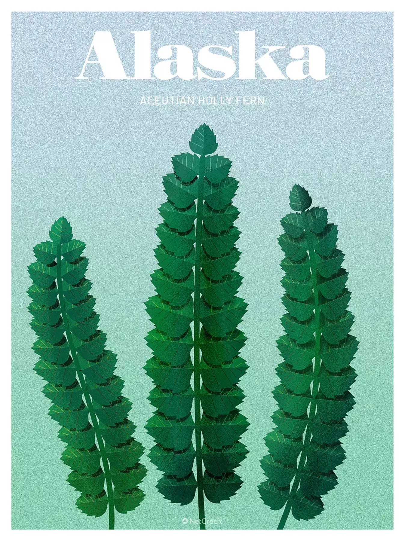 Aleutlik Xolli Fern