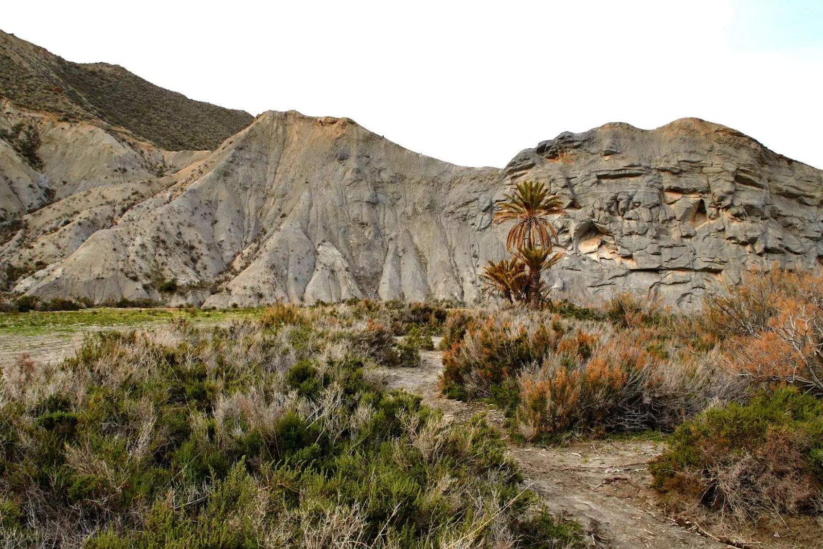 Així de net hauria de ser el desert de Tavernes.