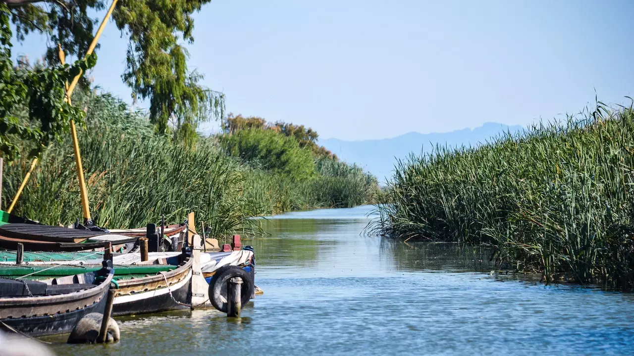 Cullera aql bovar qilmaydigan, lekin siz uning ajoyib atrofiga tashrif buyurishingiz kerak