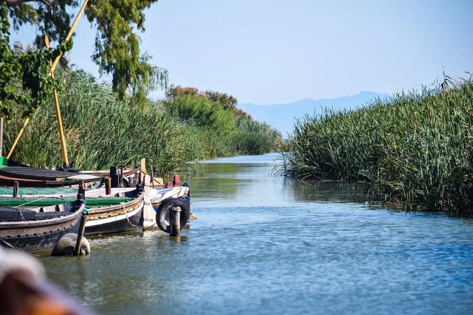 Albufera