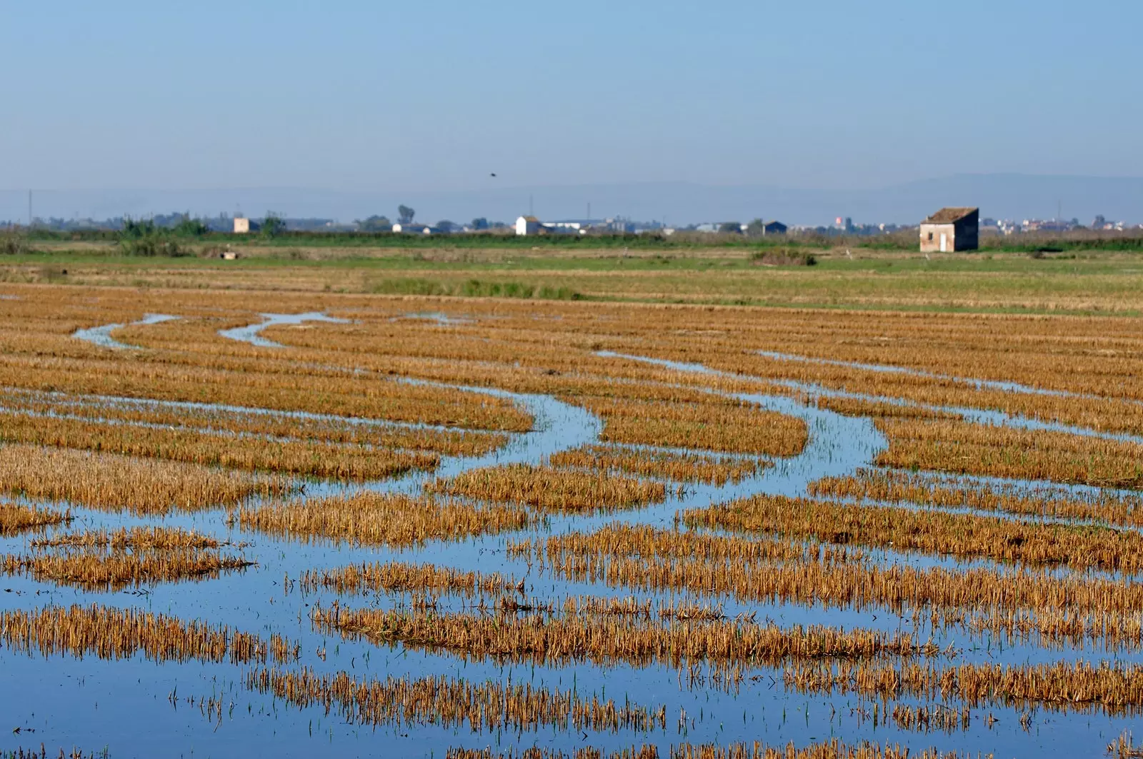 Albufera