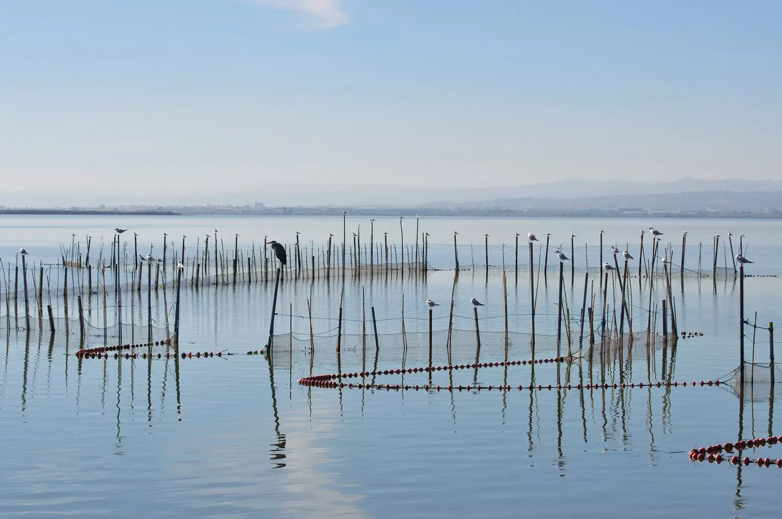 Albufera