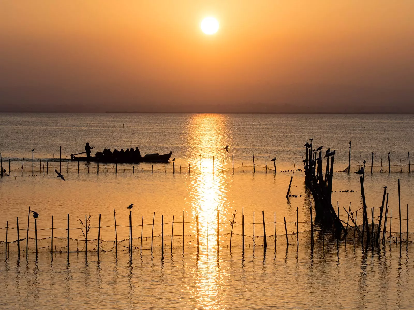 albufera