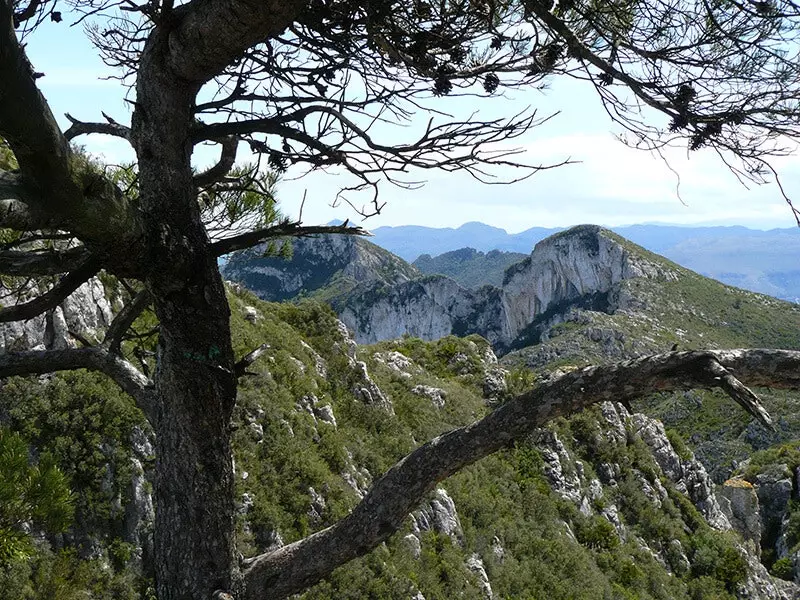 Serra de Corbera