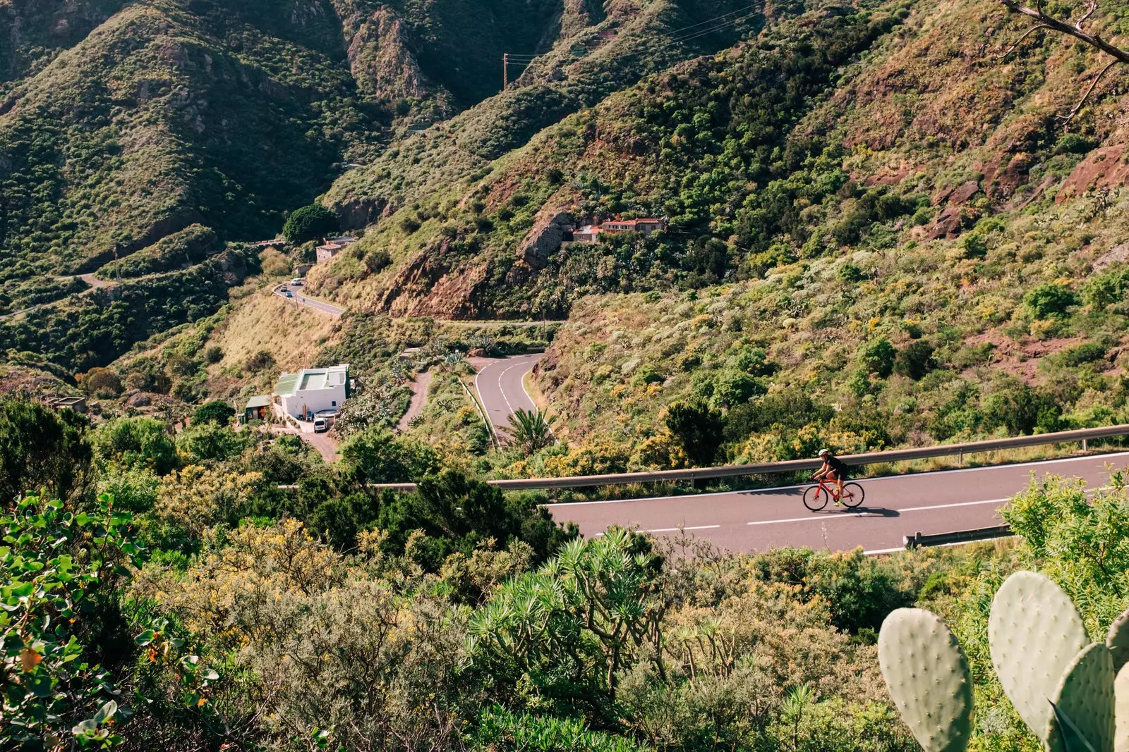 Tenerife